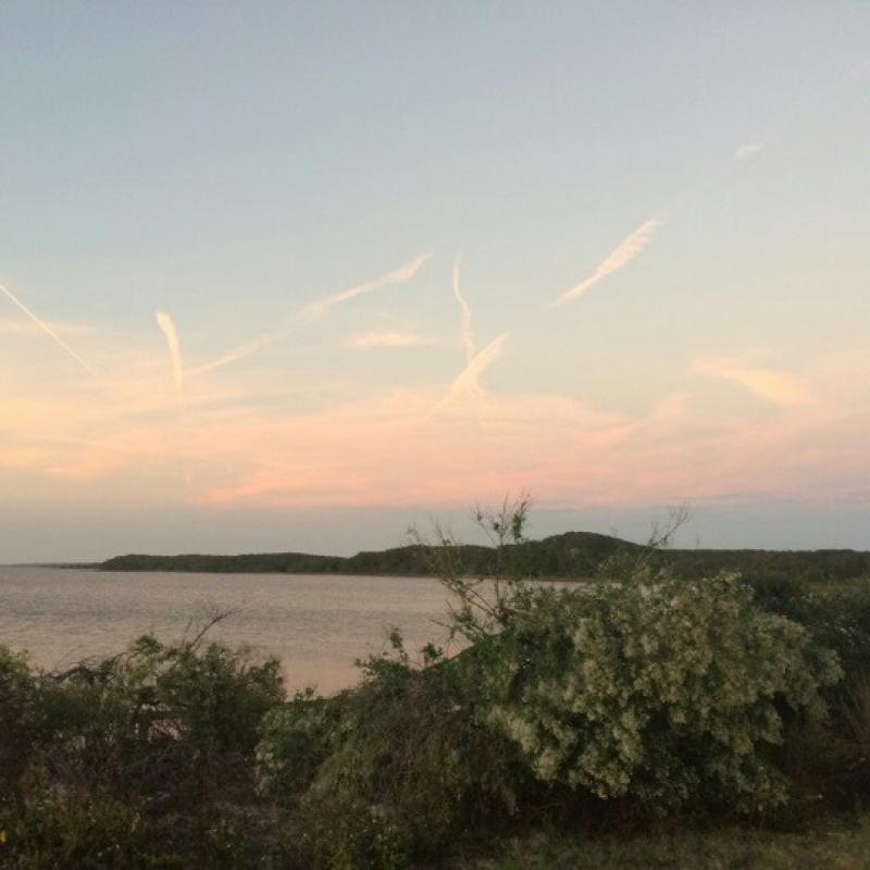 St. John's River